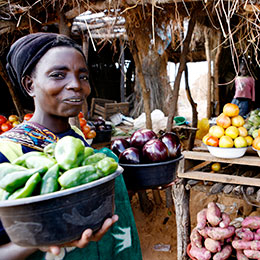 © 2010 Jessica Scranton, FHI 360. Woman in a Zambian market with a diverse variety of fruits and vegetables.